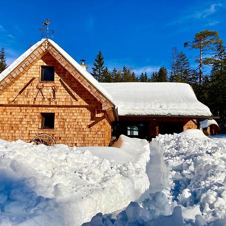 Chalet Вильдальпен Экстерьер фото