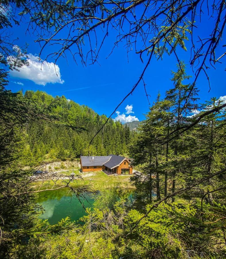 Chalet Вильдальпен Экстерьер фото