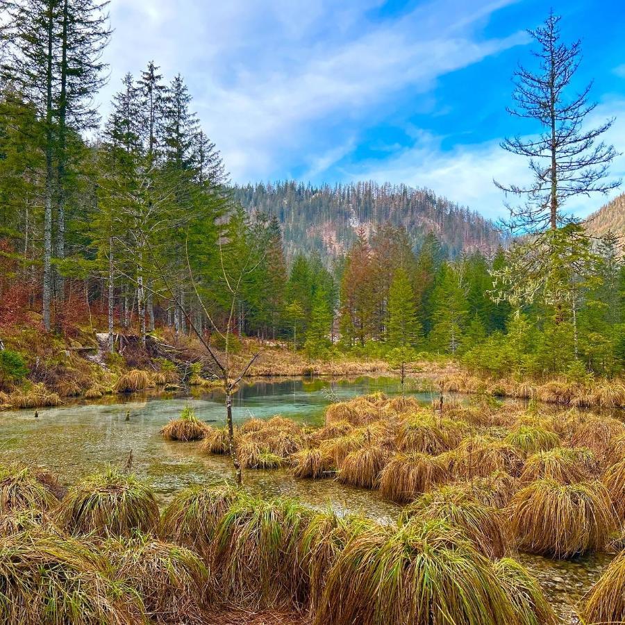 Chalet Вильдальпен Экстерьер фото