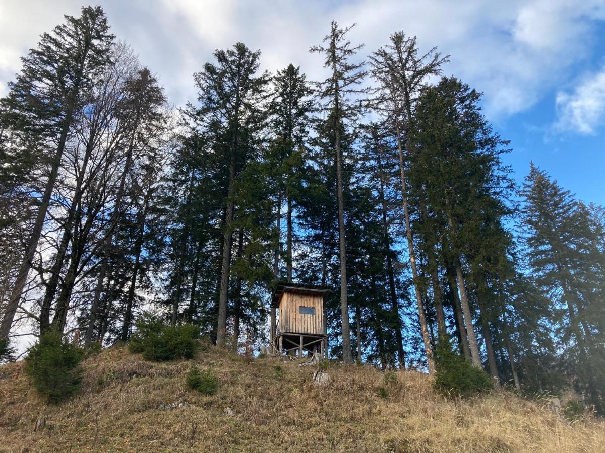 Chalet Вильдальпен Экстерьер фото