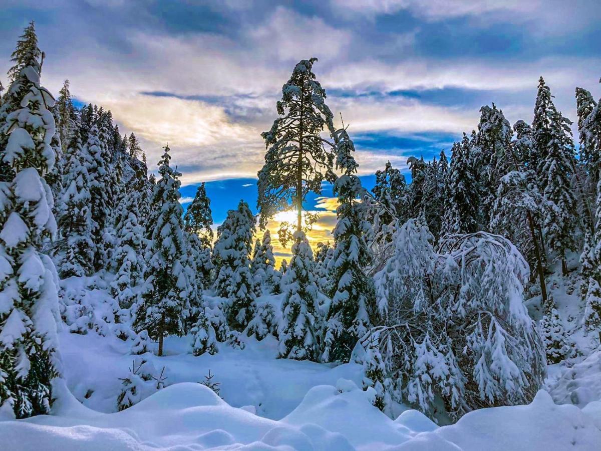 Chalet Вильдальпен Экстерьер фото