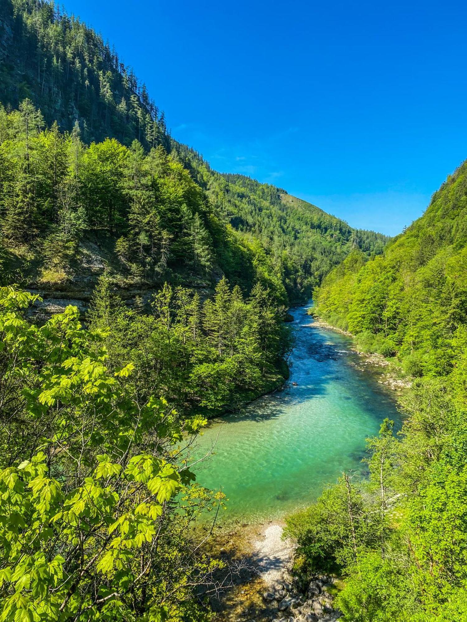 Chalet Вильдальпен Экстерьер фото