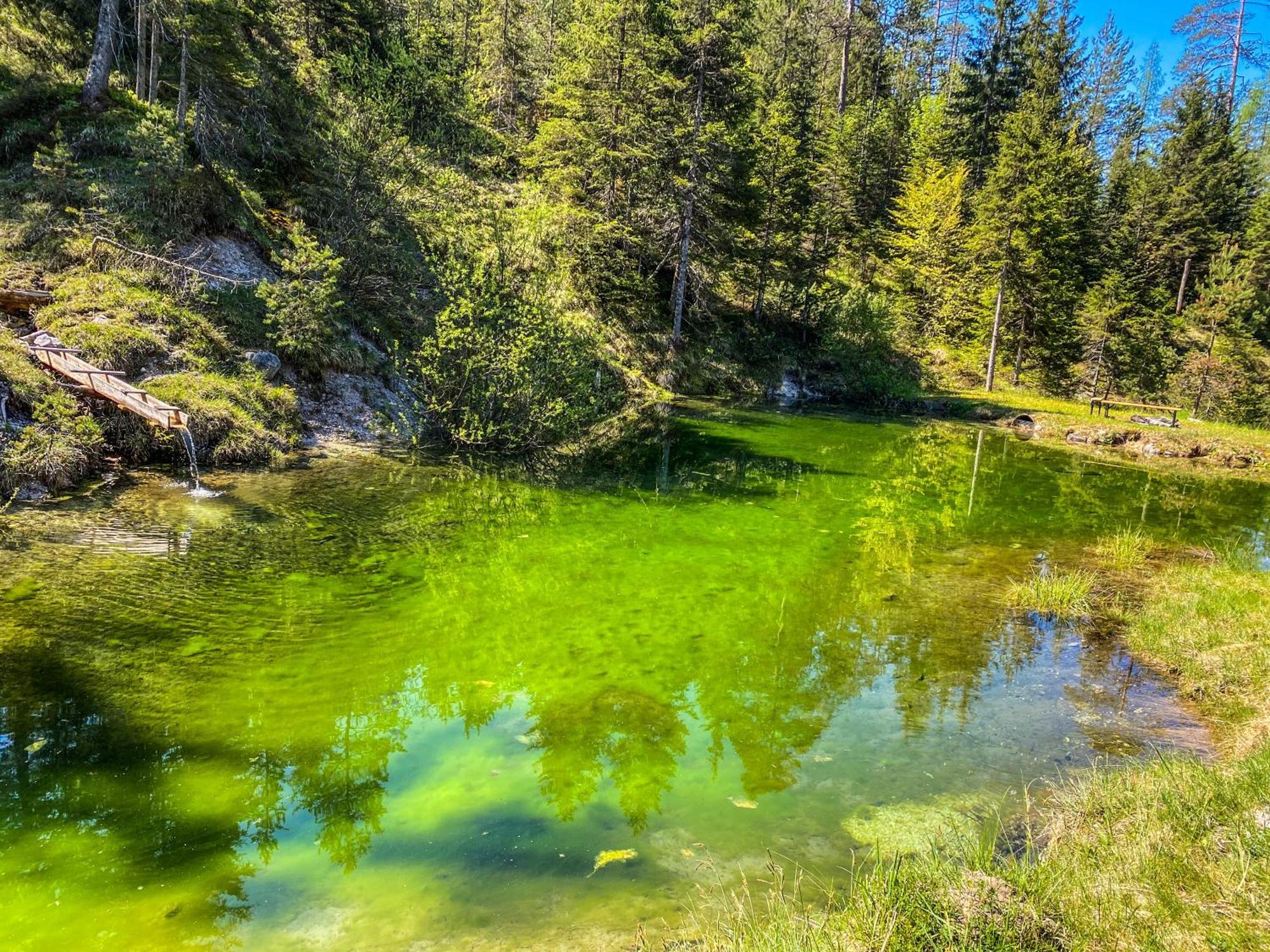 Chalet Вильдальпен Экстерьер фото