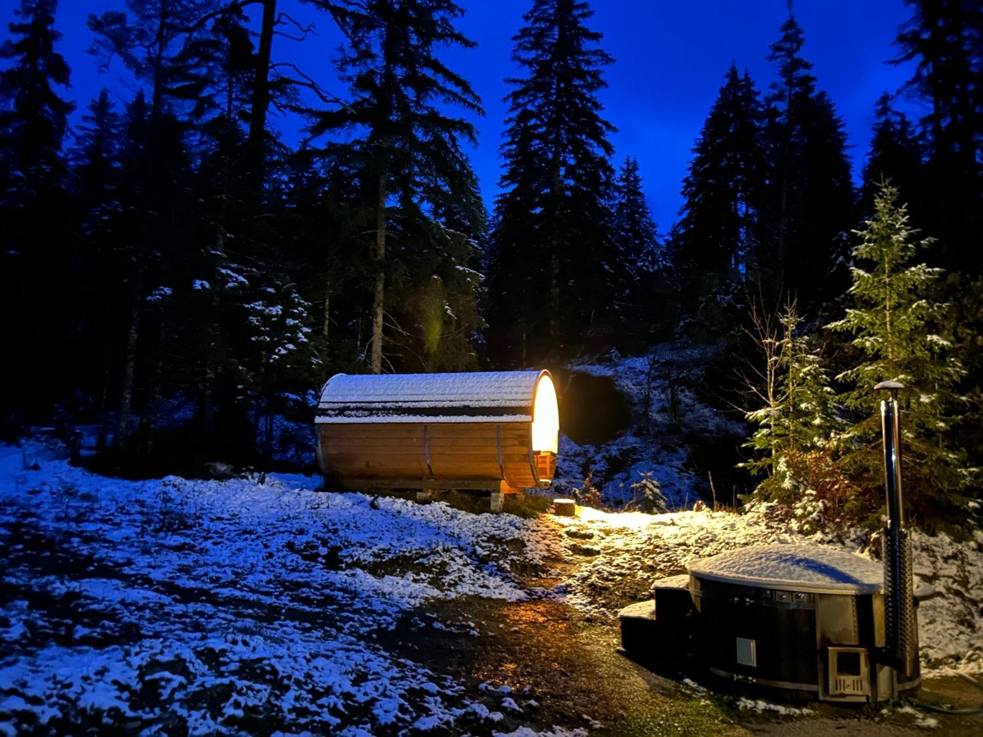 Chalet Вильдальпен Экстерьер фото
