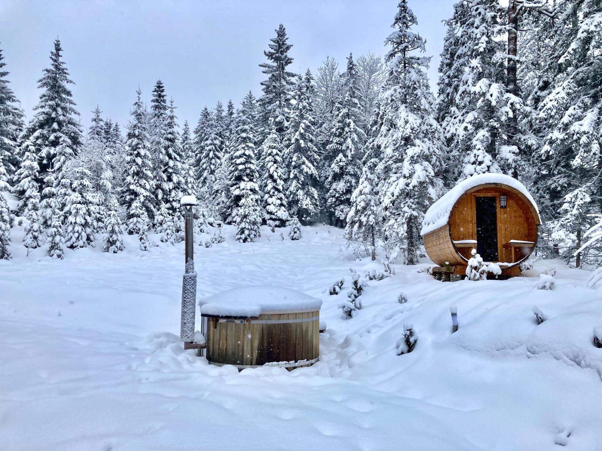 Chalet Вильдальпен Экстерьер фото