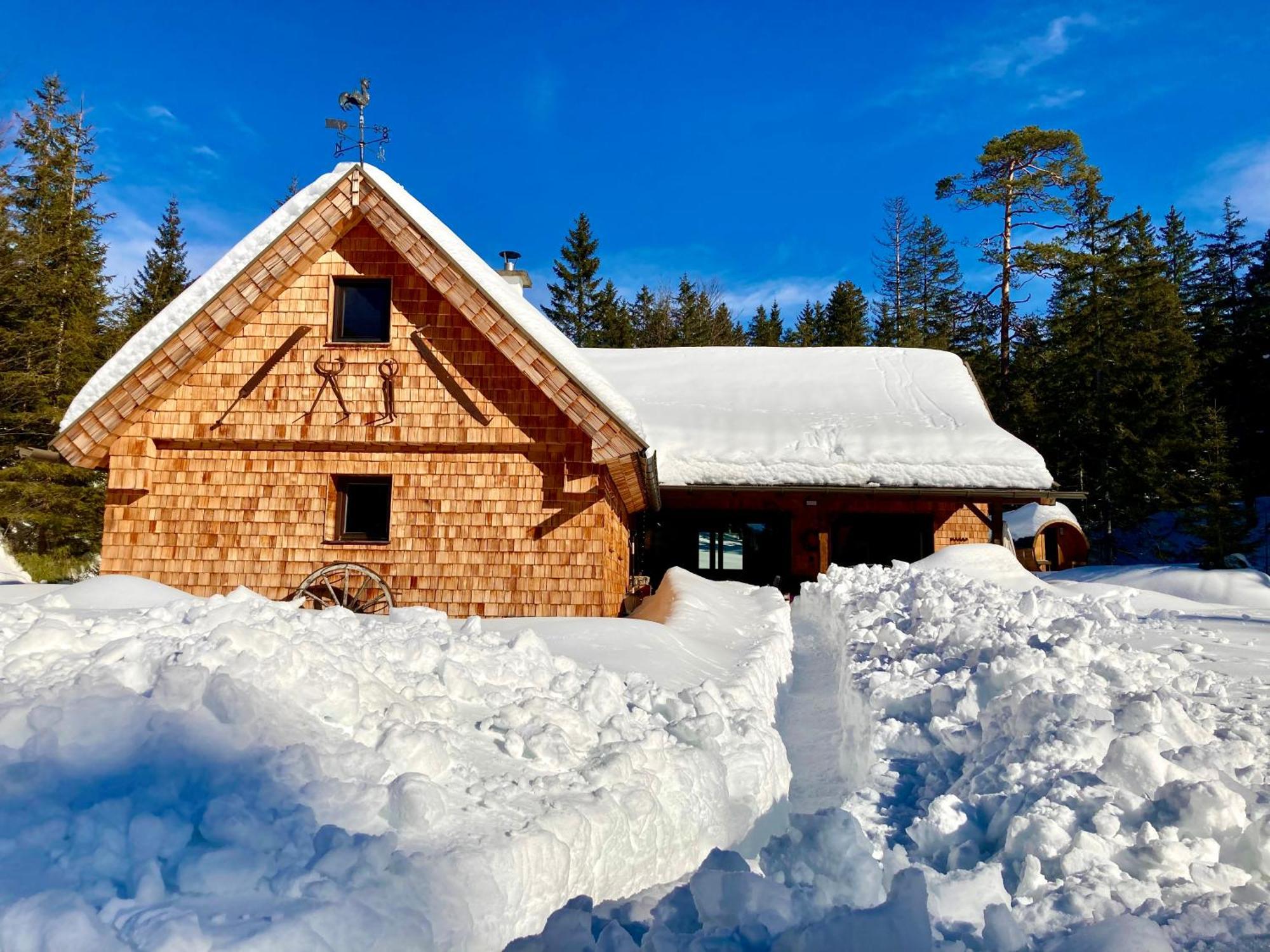 Chalet Вильдальпен Экстерьер фото