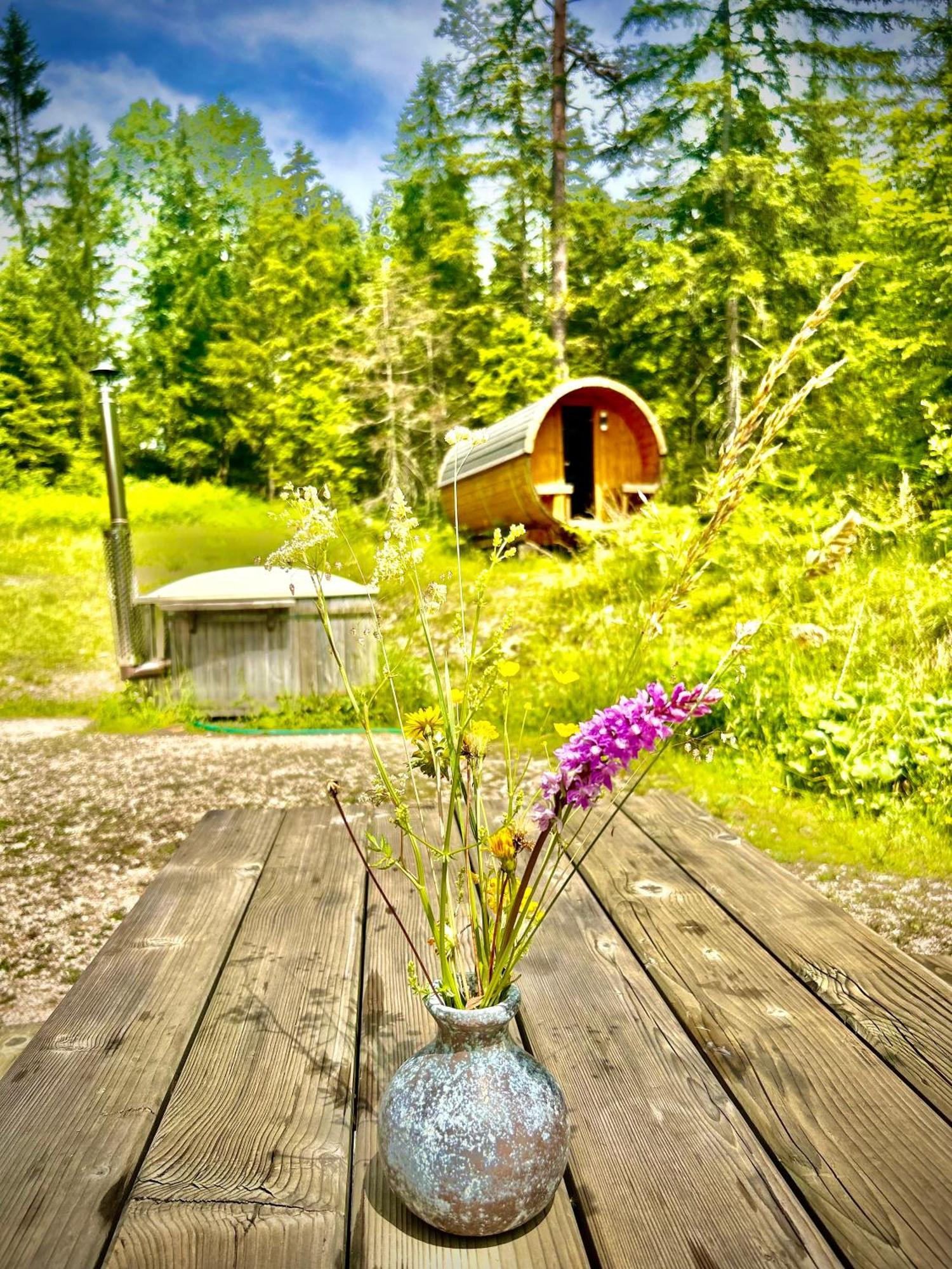 Chalet Вильдальпен Экстерьер фото