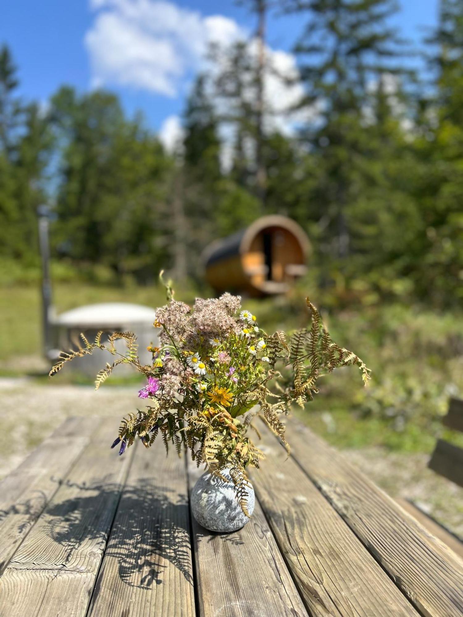 Chalet Вильдальпен Экстерьер фото